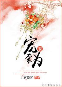 宠妻为上免费阅读全文