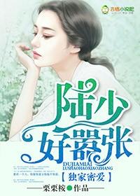 独家蜜婚陆少的心尖宠妻免费阅读