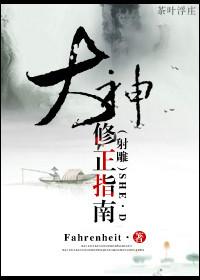 射雕之大武