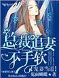 总裁追妻霸道宠