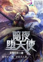 hp暗黑堕天使
