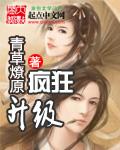疯狂升级系统全集完整版动漫免费