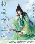 极品王爷王妃她是江湖大佬