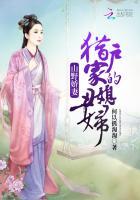 山野娇妻:猎户家的丑媳妇