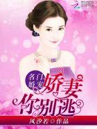 名门婚宠:娇妻,你别逃!
